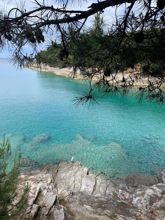 Augusta Appartamento Pola
